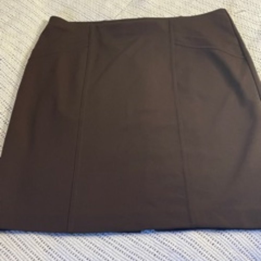 Express Mini Pencil Skirt